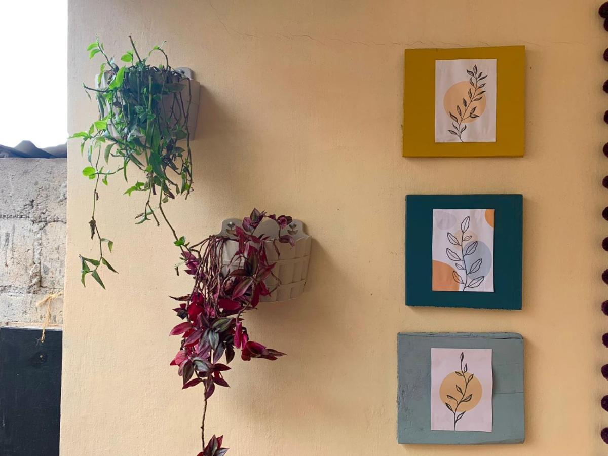 Hostal 23 San Cristóbal de Las Casas 外观 照片